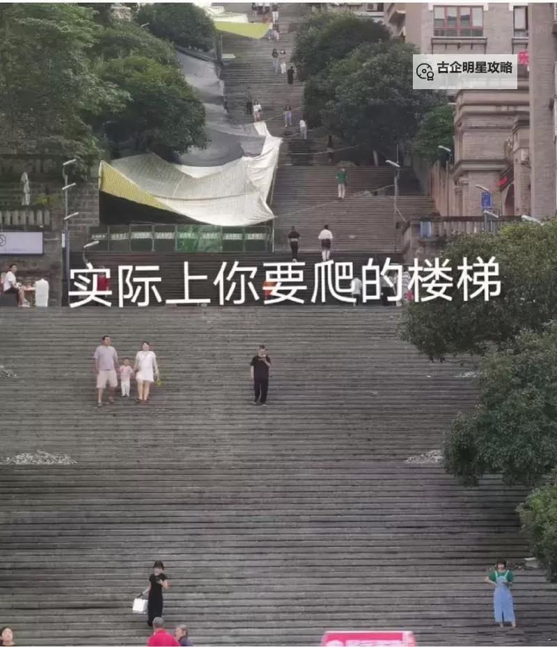 在楼梯里要你：一段未竟的秘密故事图1