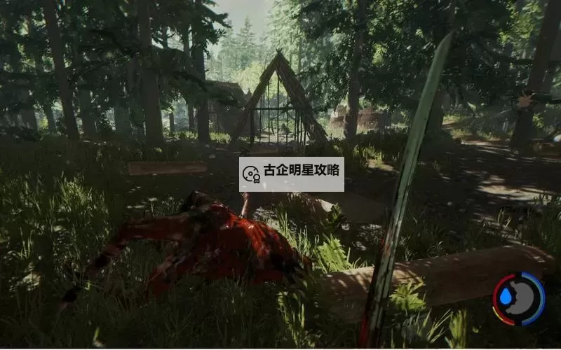 森林 实况娱乐解说图1