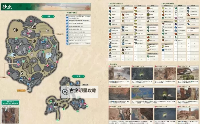 《怪物猎人荒野》血盗虫地图位置及掉落素材介绍 血盗虫在哪图2