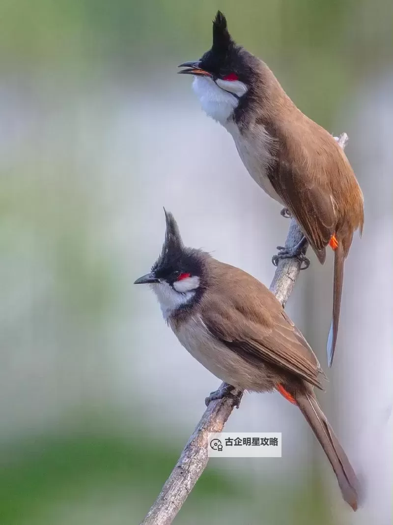 热门推荐:必看波多野结衣电影合集解析图1