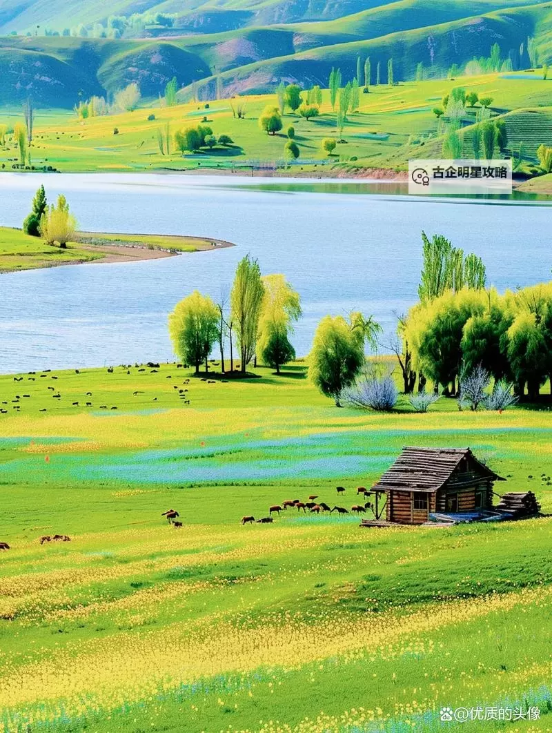 最新推荐：近期必看的日本免费观看视频动画合集图1