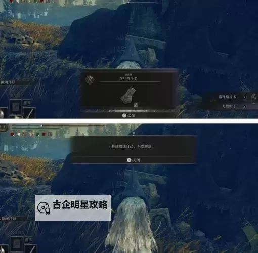 《艾尔登法环》黄金树幽影DLC落叶格斗术拳套获取教程 落叶格斗术拳套怎么获得图1