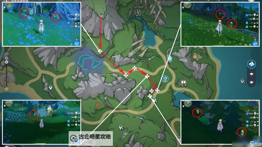《原神》虹彩蔷薇位置及收集路线 4.5虹彩蔷薇快速收集路线图1