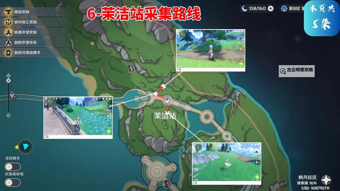 《原神》虹彩蔷薇位置及收集路线 4.5虹彩蔷薇快速收集路线图2