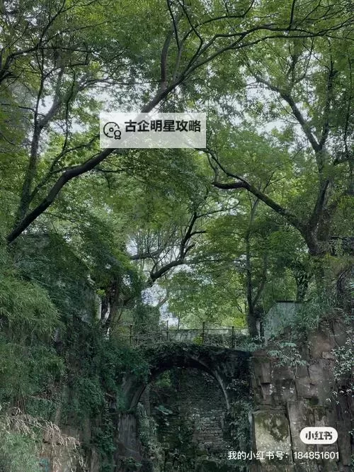 无翼鸟的梦境：电车边的狼在温泉中徘徊图1