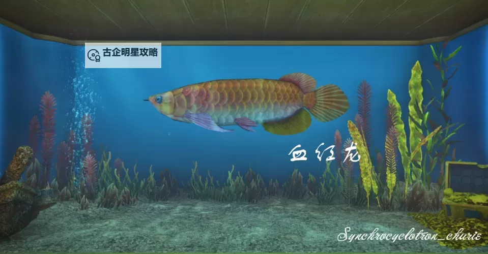 《最终幻想世界》百万红龙打法思路分析图2