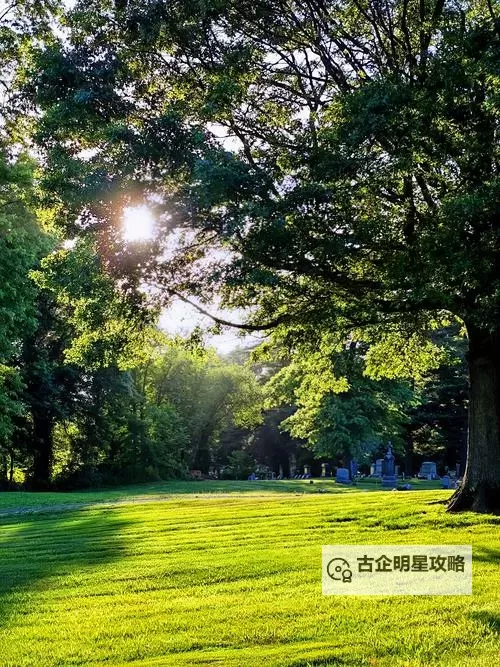 探索创新设计：KXK蓝色网站引领数字时代潮流图1