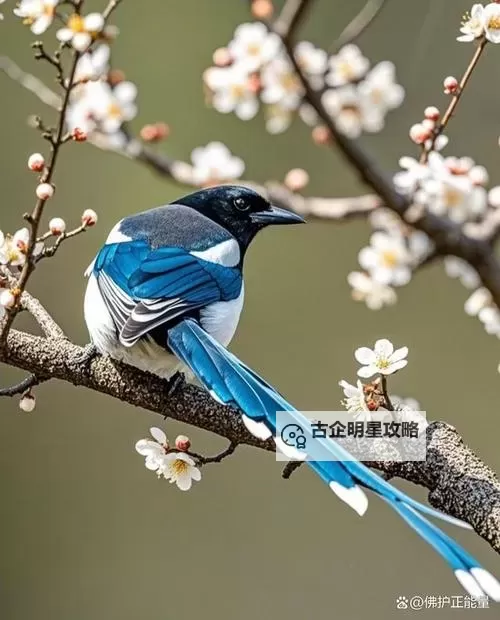 《缺氧》前期食物获得及种植思路 缺氧前期食物来源图1