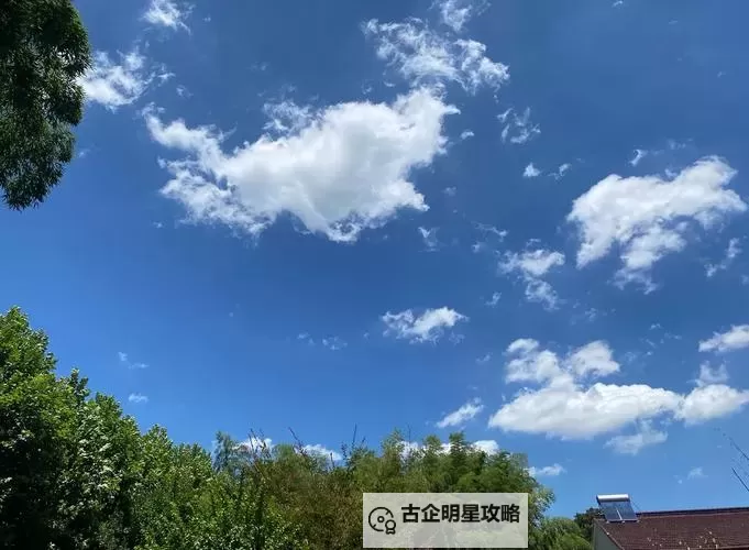 《怪物猎人荒野》轻弩炮骨素材衍生样式及路线一览图1