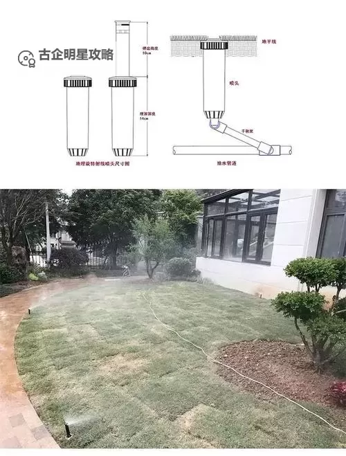 用爱把你小花园灌溉：细腻呵护中的幸福秘密图1