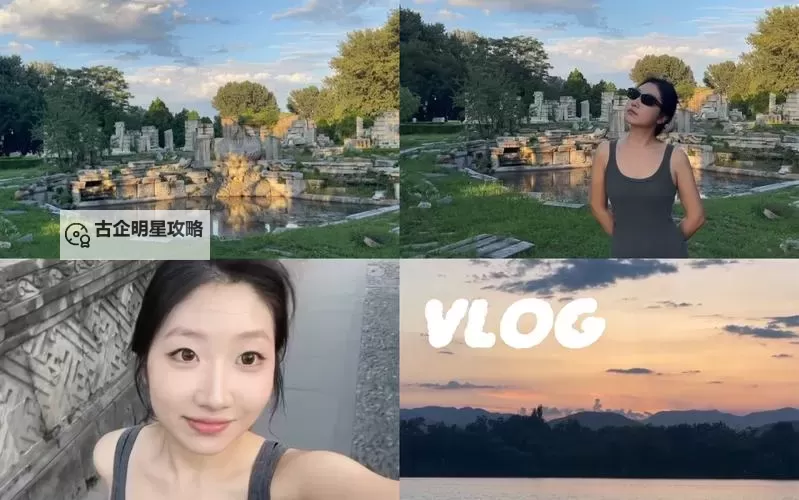 精彩推荐：VLOG官方在线观看，第一时间快人一步！图1