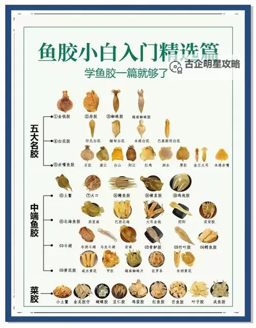 动物胶配方大全高清兽胶：全面解析高质量兽胶制作指南图1