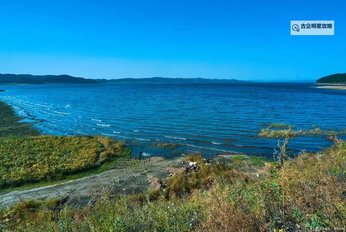 精彩瞬间：打扑克时剧烈运动的视频合集图1