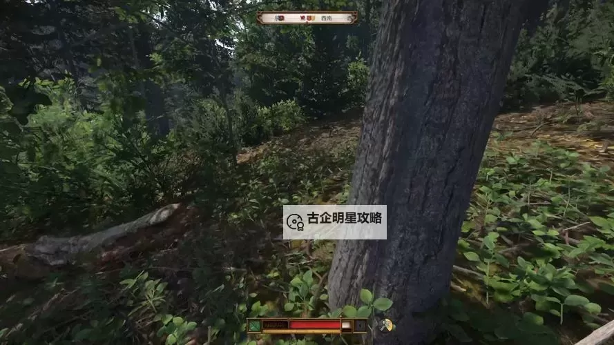 《天国拯救2》无限刷卷心菜方法 卷心菜怎么刷图1