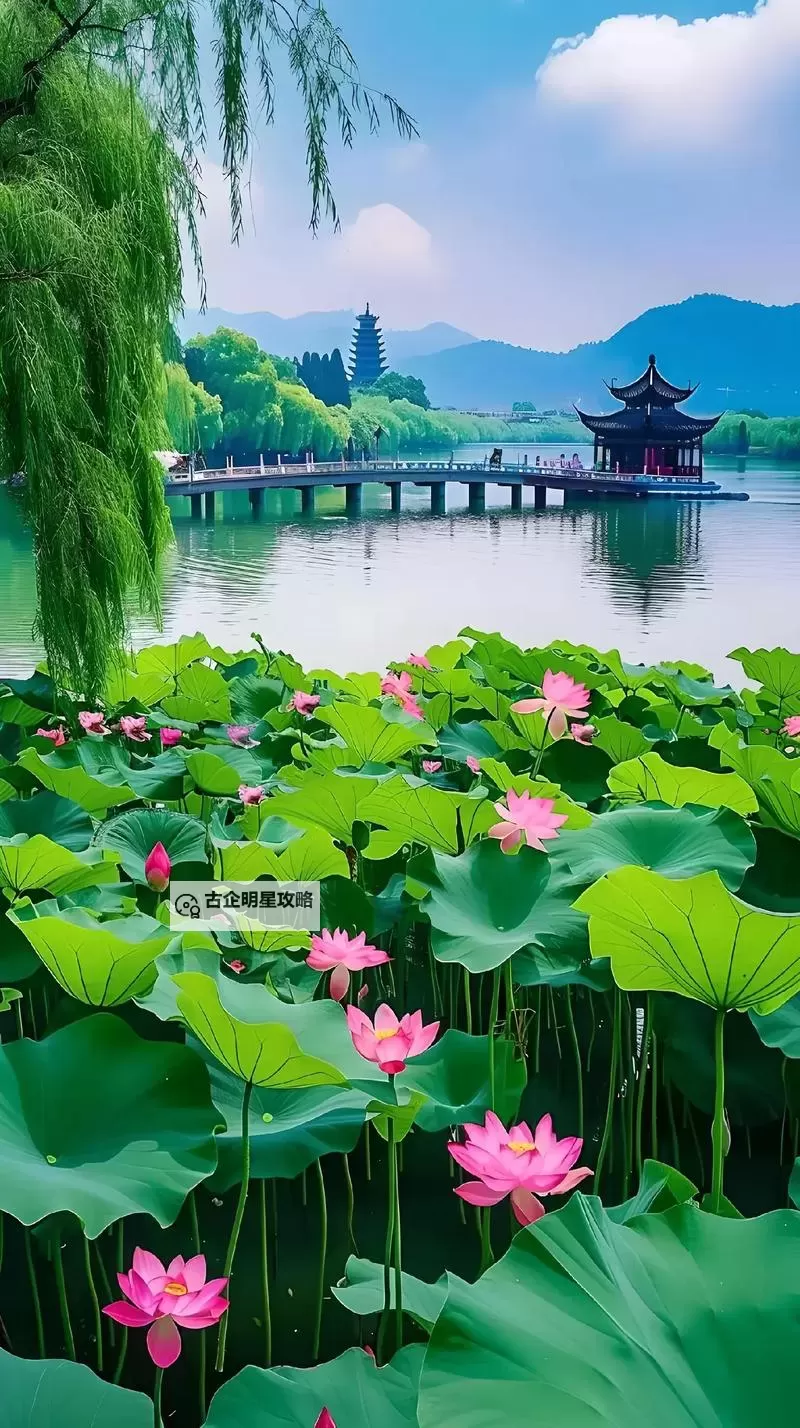 《黑神话悟空》支线任务汇总 黑神话悟空有哪些支线任务图1