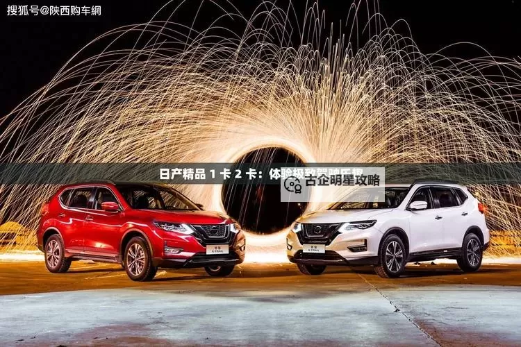 中日产精品1卡二卡全面解析：优质选择指南图1