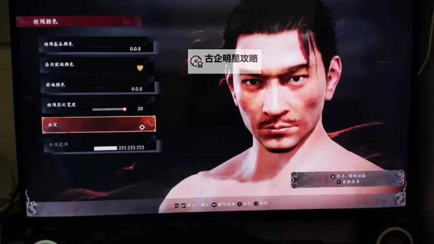 《卧龙苍天陨落》刘德华捏脸数据分享图1