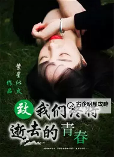 致我们终将逝去的青春番外：那段时光的温柔记忆图1