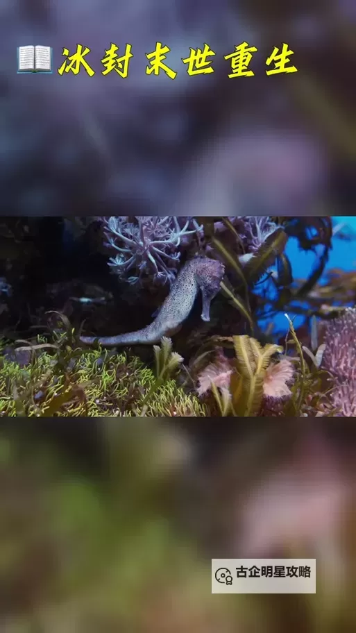 神秘的冒险：众神殿小熊的传奇之旅图1