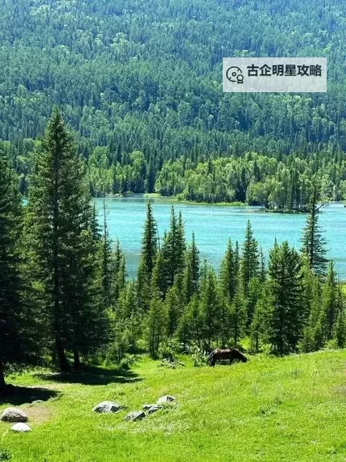 全面解析浮力影视路线切换路线：操作指南与实用技巧图1