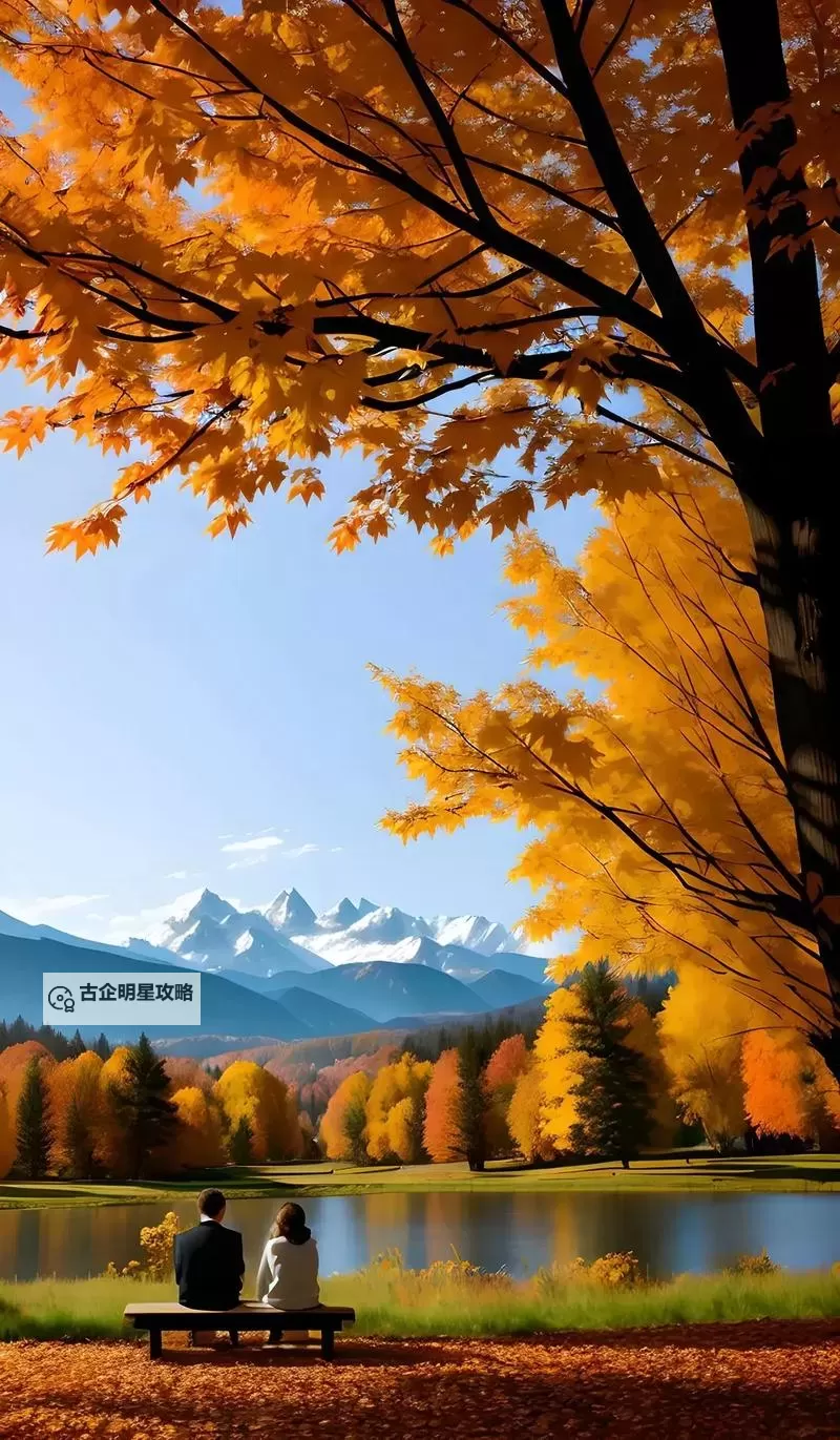 大数码宝贝电脑版下载 怎么下载大数码宝贝电脑版模拟器图1