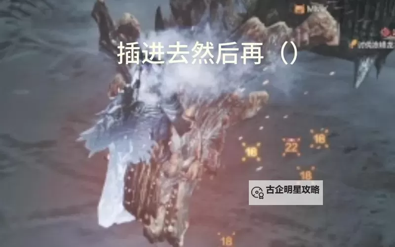 《怪物猎人荒野》冻峰龙打法攻略 冻峰龙大招怎么躲图1