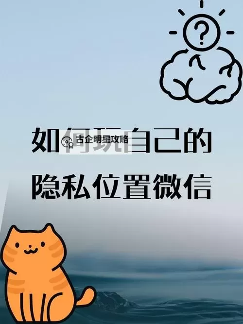 如何安全又巧妙地怎么玩隐私位置?图1