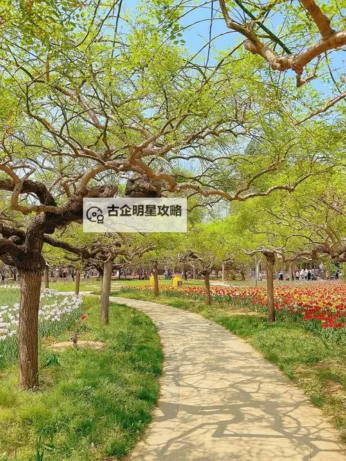 怎么双开封神传？ 封神传双开挂机图文全攻略图1