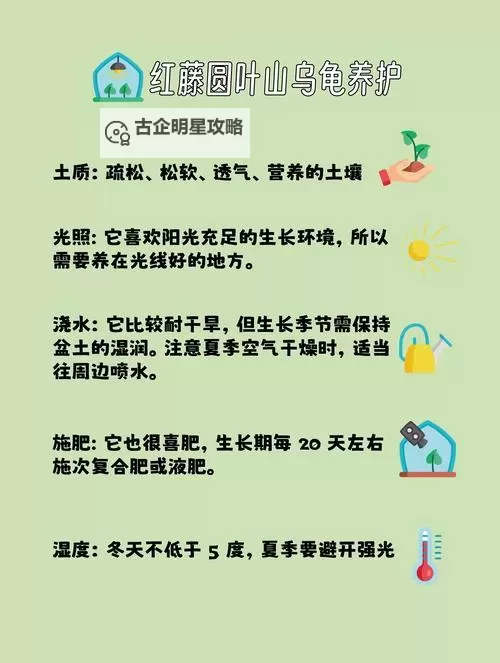 怎么提高龟灵敏度的方法:提升龟反应能力的实用技巧图1