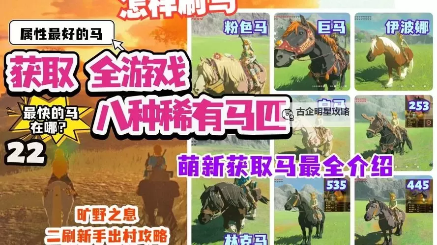 《塞尔达传说荒野之息》全马具获得方法 马具怎么获得图1