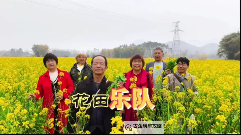 左岸春风今日一语断蓝：春意乍暖渗心扉图1