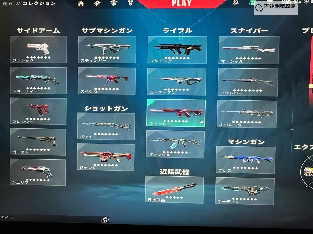 《无畏契约（Valorant）》皮肤评分查询图1