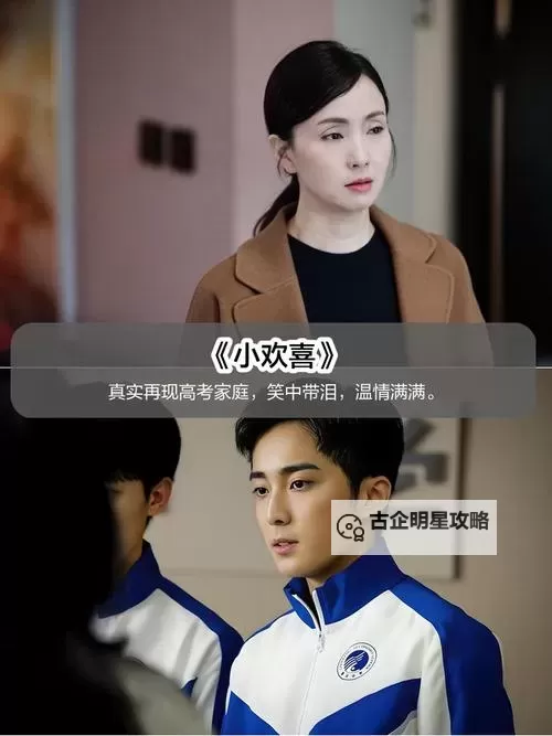 2023年必看！最好的中文字幕视频2019推荐大全图1