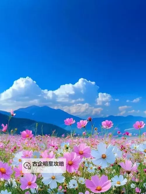 忘羡情深：主人我错了能不能关掉开关的心结分析图1