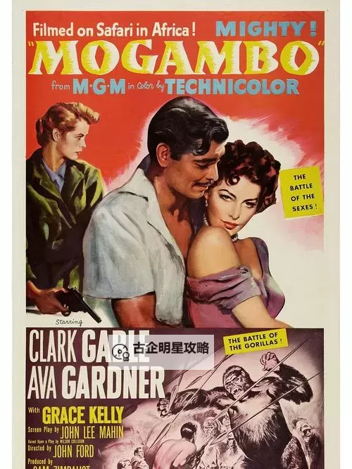 红尘影院高清经典版特色功能介绍：畅享极致视觉体验与丰富内容选择图1