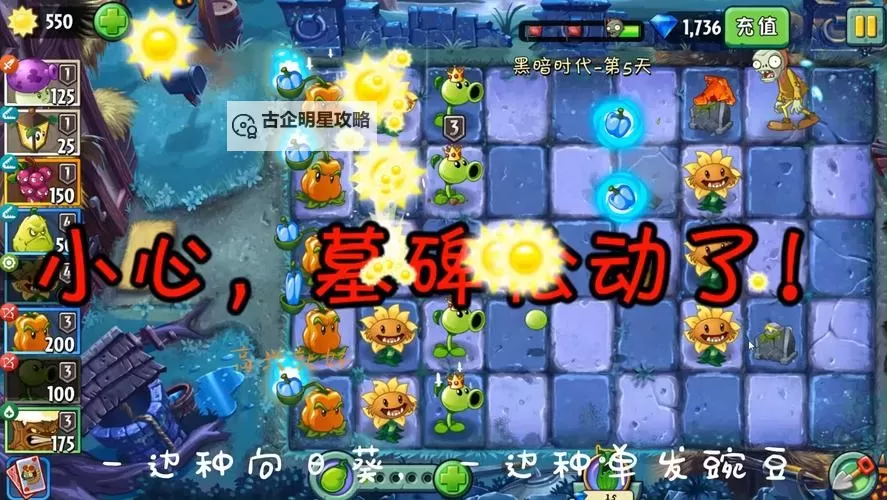 植物大战僵尸2:黑暗时代 无尽模式图文攻略图2