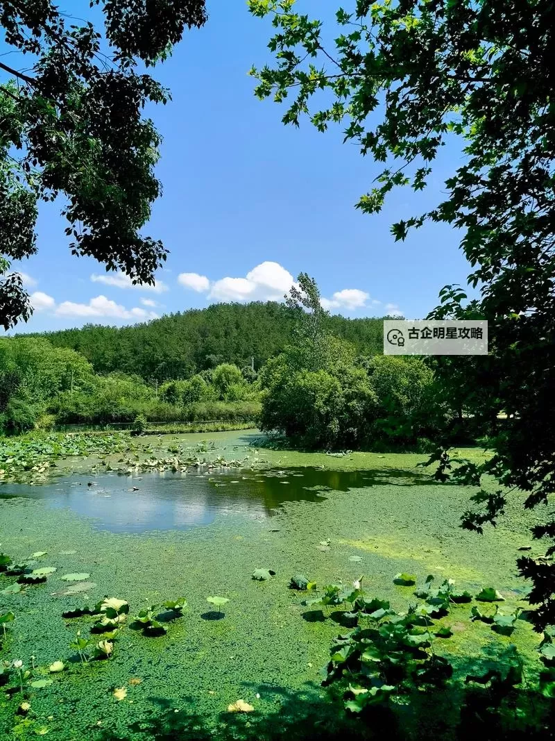 《绝区零》青衣技能介绍 青衣技能什么效果图1