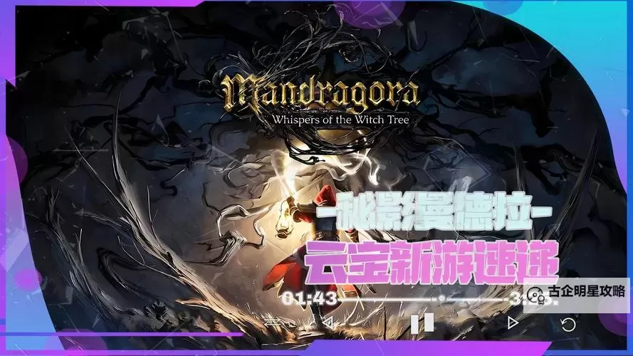 《秘影曼德拉》无限大招流构筑分享图1