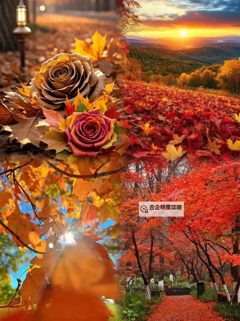 浴火战线双开挂机软件推荐  怎么双开浴火战线详细图文教程图1