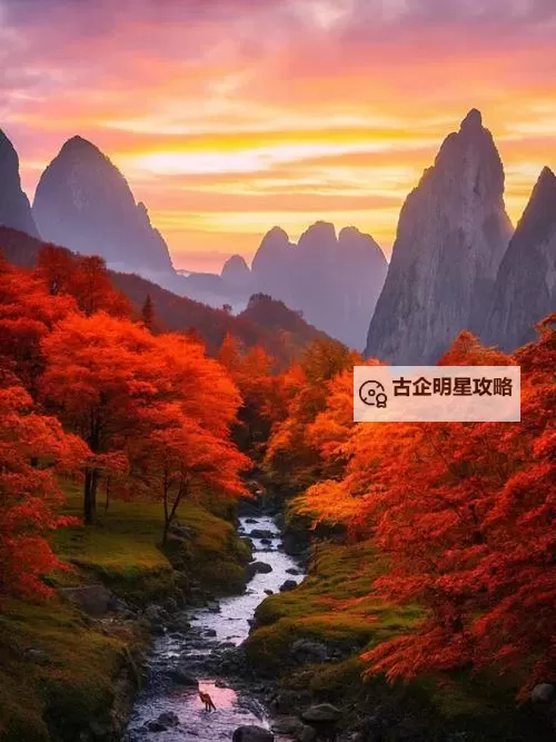 浴火战线双开挂机软件推荐  怎么双开浴火战线详细图文教程图2