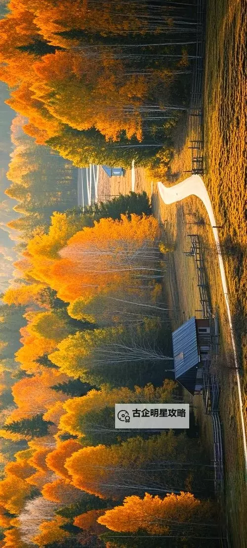 【最新资源】玉林影院百度影音在线观看推荐，畅享高清精彩电影图1