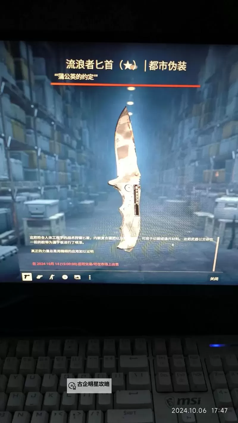 《CSGO2》流浪者匕首全皮肤效果展示图1