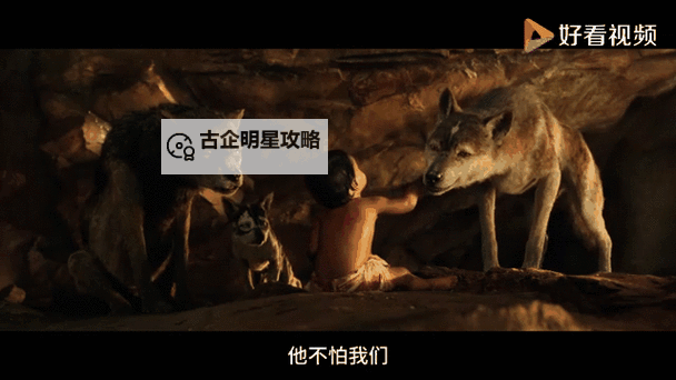 《森林之子》剧情全方面解析图1