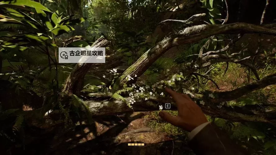 《夺宝奇兵古老之圈》疯牧师支线任务攻略图1