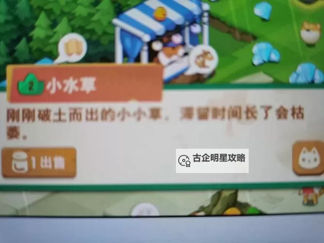 《小森灵》新手攻略：萌新入门玩法介绍图1