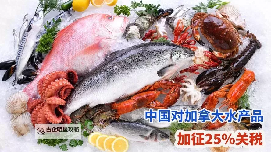 探索海角国精产品一区二区:优质精选尽在其中图1