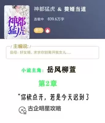 岳乱小说合集目录伦200：全面解读与精彩推荐图1