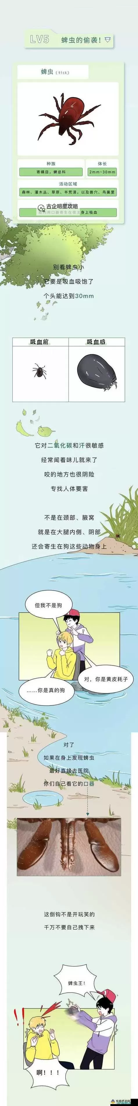 虫虫漫画官方页面免费漫画指南｜全方位SEO优化攻略图2