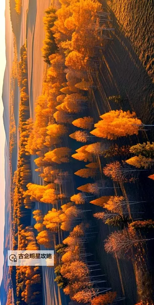 探索大波萝网站免费资源：尽享优质内容推荐图1