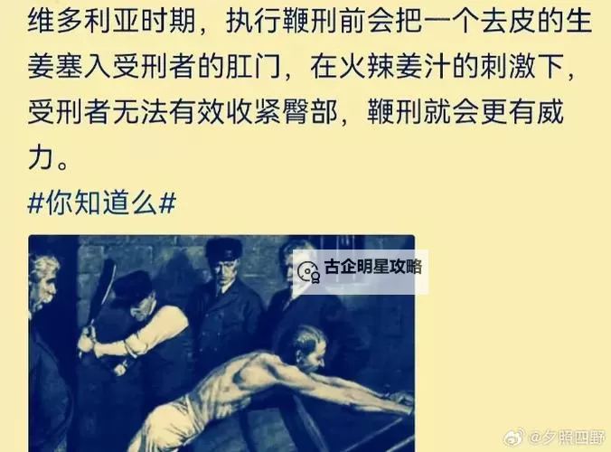 奴役支配狂虐XXX:权力的暗影与人性的扭曲图1